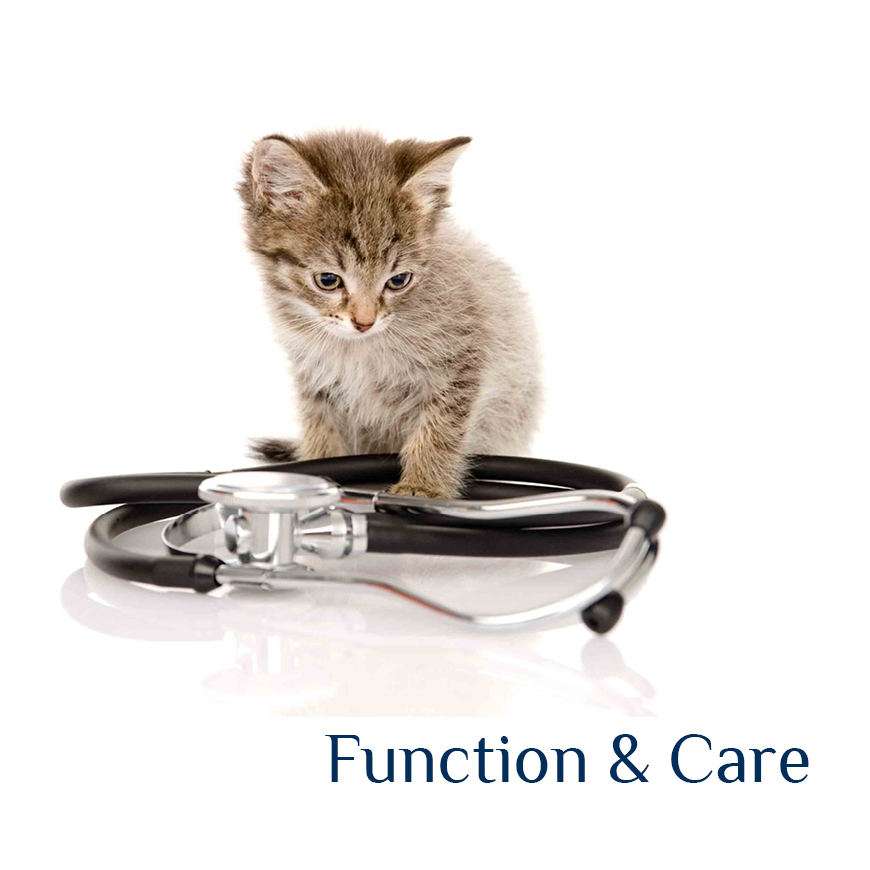Function & Care
